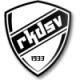 RKDSV Crest