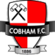 Cobham Crest