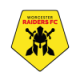 Worcester Raiders Crest