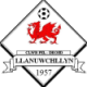 Llanuwchllyn Crest