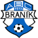 Branik W Crest