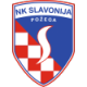 Slavonija Pozega Crest