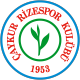 Rizespor U-19 Crest