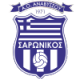 Saronikos Anavyssou Crest