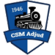CSM Adjud Crest