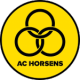 Horsens U-19 Crest