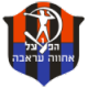 Hapoel Ironi Arraba Crest