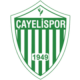 Cayelispor Crest