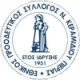 Ethnikos Neou Crest