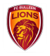 Bulleen Lions U-23 Crest