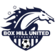 Box Hill United W Crest