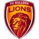Bulleen Lions W Crest