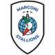 Marconi Stallions U-20 Crest