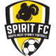 NWS Spirit U-20 Crest