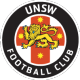UNSW U-20 Crest