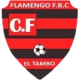 Flamengo FBC W Crest