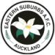 Eastern Suburbs FC W Crest