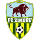 Zimbru-2 Crest