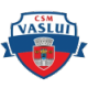CSM Vaslui Crest