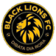 Black Lions Crest