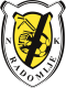 Radomlje U-19 Crest