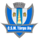 CSM Targu Jiu Crest