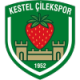 Kestel Cilekspor Crest