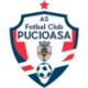 FC Pucioasa Crest