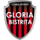 Gloria Bistrita W Crest
