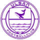 Ulsan FC Crest