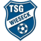 Wieseck U-19 Crest