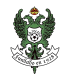 Toledo U-19 Crest