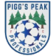 PPK Professionals Crest