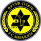 FC Shefa-Amr Crest