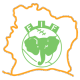 Ivory Coast U17 logo