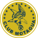 Motagua Crest