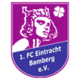 Eintracht Bamberg Crest