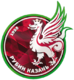 Rubin U-19 Crest