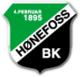Honefoss Crest