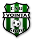 Vointa Sibiu Crest