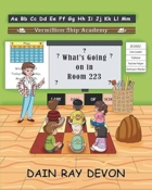 What's Going on in Room 223