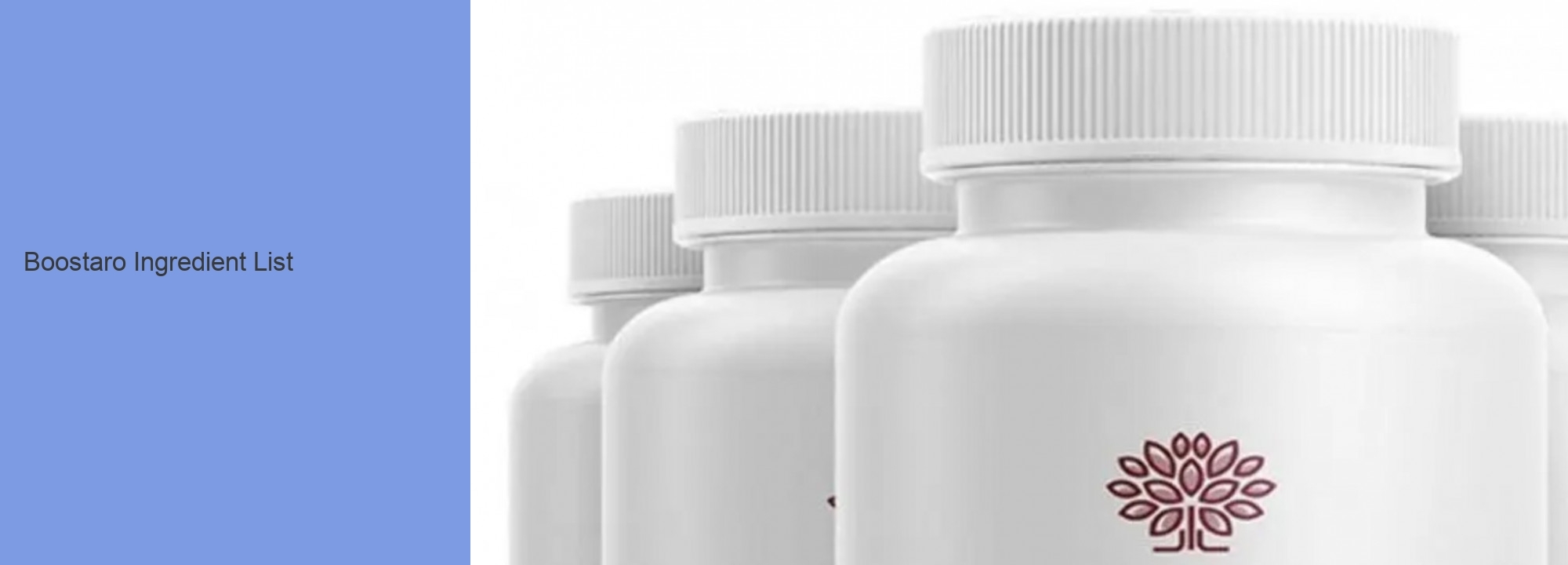 Boostaro Ingredient List