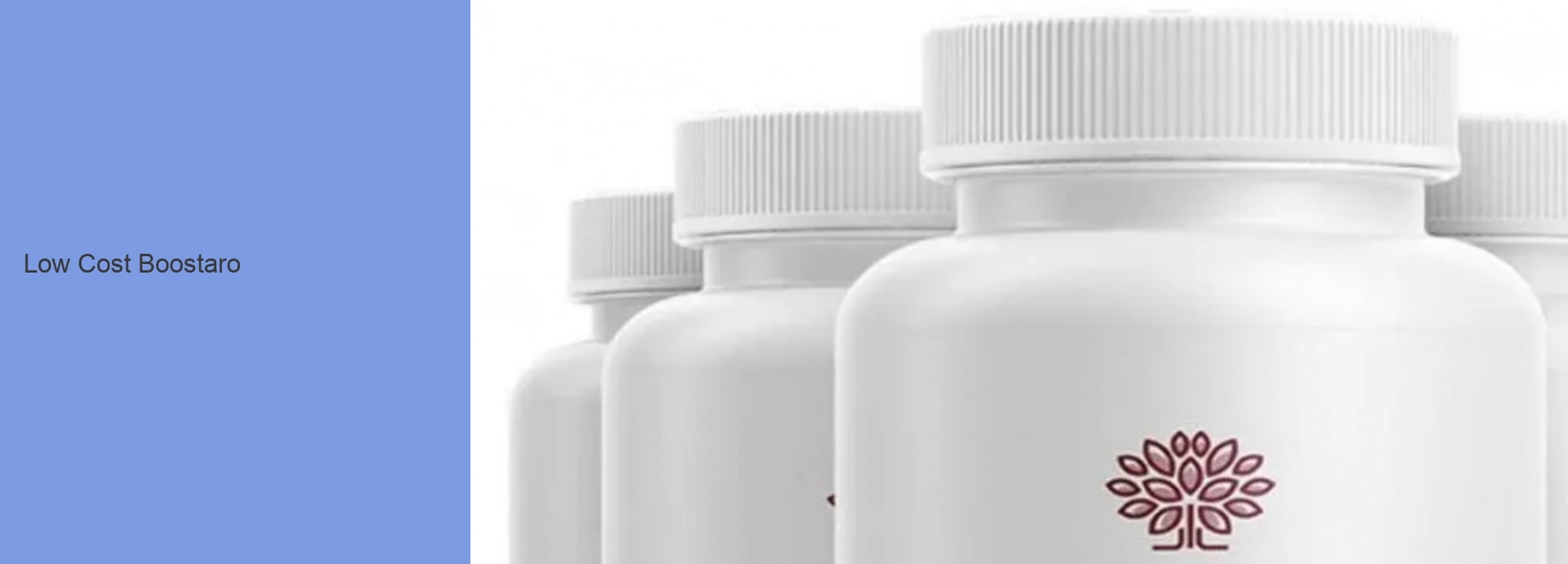 Low Cost Boostaro