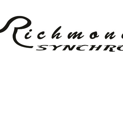 Synchro logo