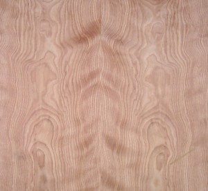 FC red birch FC red birch
