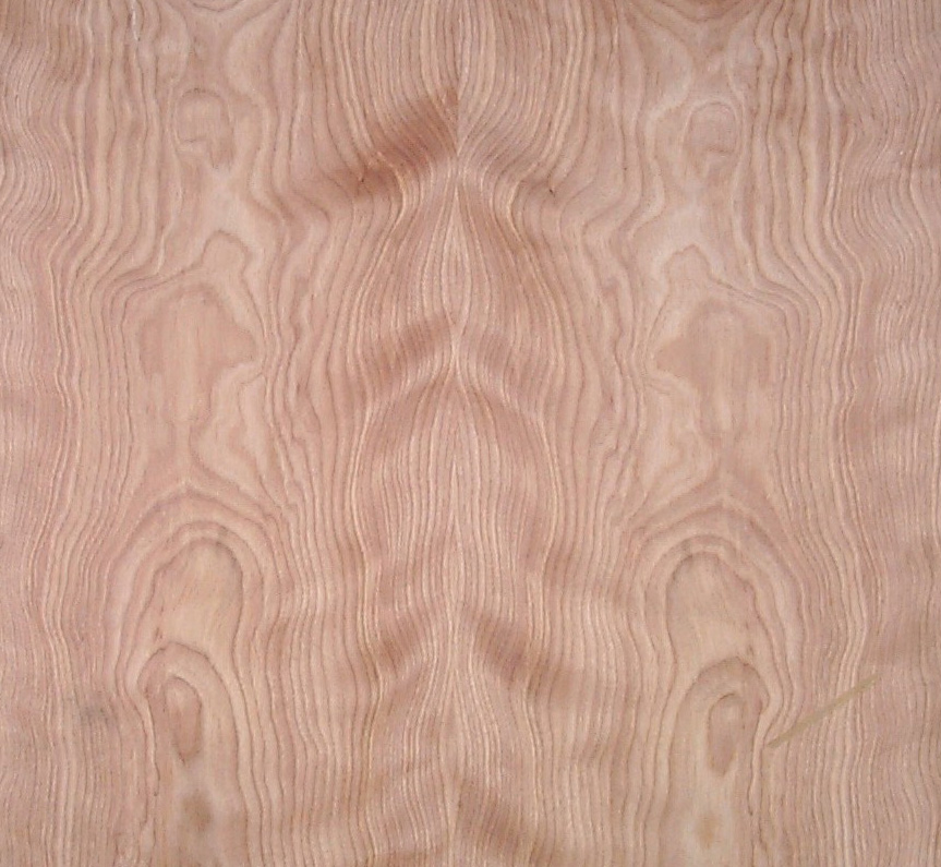 Fc Red Birch Booth Veneers