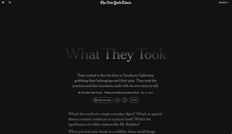 Project screenshot