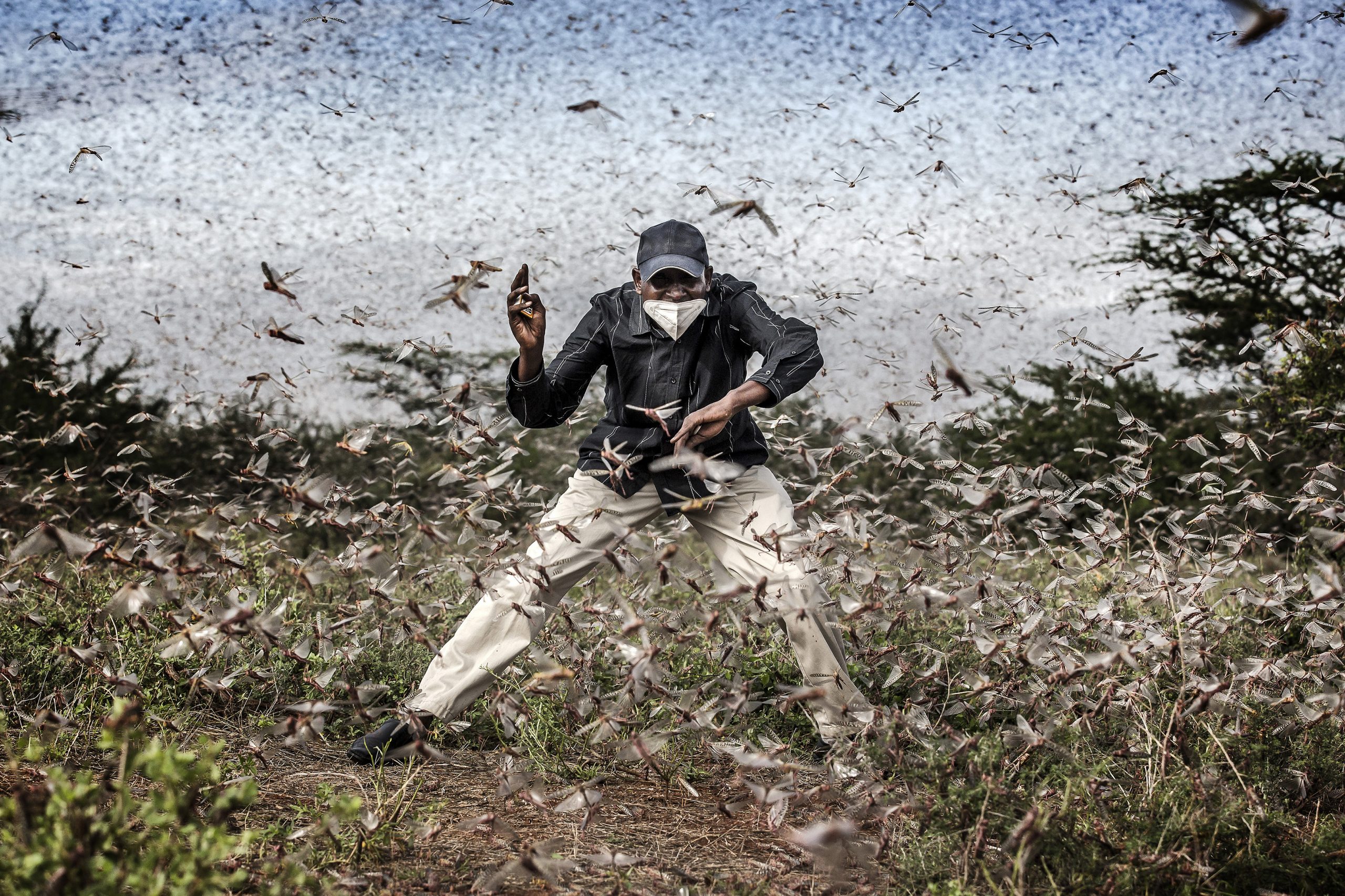 National Press Photographers Association Best of Photojournalism