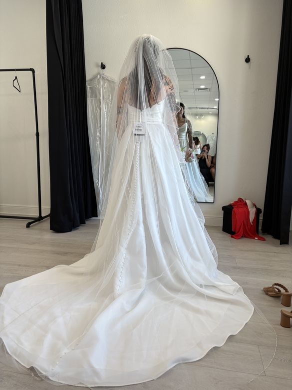 JL Johnson -  Cascading beaded edge cathedral veil - $300 - (45% OFF)