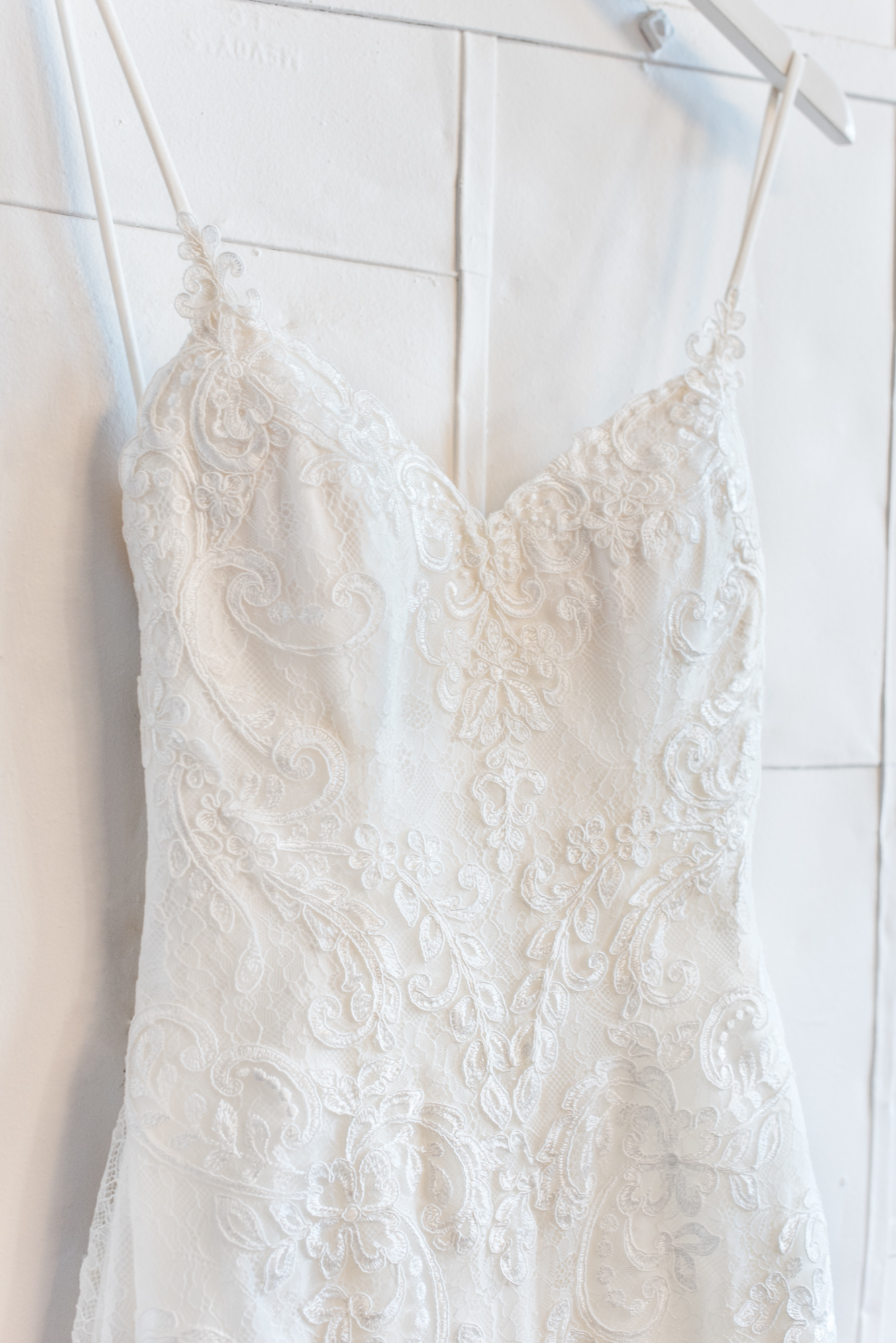 Essense of australia D1934 Borrowing Magnolia